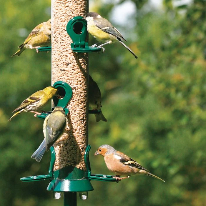 National Trust 6 Port Metal Seed Feeder 4 National Trust 6 Port Metal Seed Feeder - Image 2