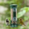 Discovery Plastic Window Seed Feeder 1 Discovery Plastic Window Seed Feeder -Nature Home Sales 31067 window feeder