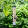 Apollo 5 Port Seed Feeder 1 Apollo 5 Port Seed Feeder -Nature Home Sales 310960119 112000120 jvg 8329 1