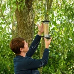 National Trust Apollo 2 Port Bird Seed Feeder -Nature Home Sales 310980119 5