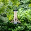 National Trust Apollo 4 Port Bird Seed Feeder -Nature Home Sales 310990119 110610125 jvg 8152