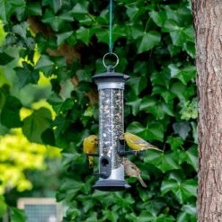 Apollo Bird Seed Feeder Range 14 Apollo Bird Seed Feeder Range -Nature Home Sales 310990119 150280113 jvg 8509 1