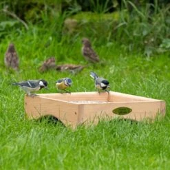 Kandava Ground Bird Feeding Table -Nature Home Sales 311030119 qm 4179