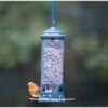 Squirrel Buster Mini Seed Feeder -Nature Home Sales 31106 3
