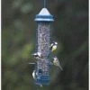 Squirrel Buster Classic Seed Feeder -Nature Home Sales 31108 4
