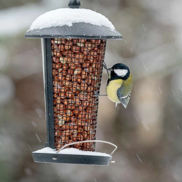 Edessa Multi Bird Feeder 5 Edessa Multi Bird Feeder - Image 3