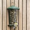 Delta Seed And Mealworm Bird Feeder Green -Nature Home Sales 31310 02 1
