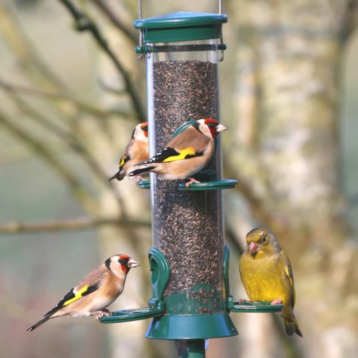 Defender 4 Port Metal Nyjer Seed Feeder 3 Defender 4 Port Metal Nyjer Seed Feeder