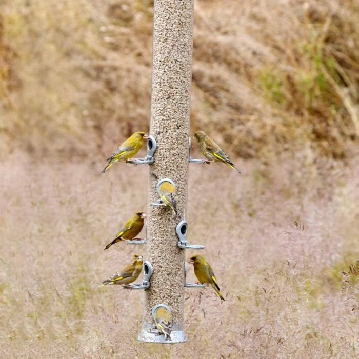 Conqueror XXL 10 Port Seed Feeder 4 Conqueror XXL 10 Port Seed Feeder - Image 2