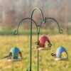 Vierno Tavern Bird Seed Feeder 1 Vierno Tavern Bird Seed Feeder -Nature Home Sales 34343 34344 34345 2