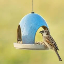 National Trust Vierno Tavern Bird Seed Feeder (Blue) -Nature Home Sales 34345 2
