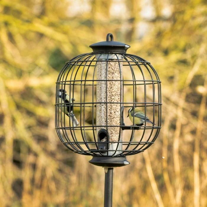 Guardian For Apollo 3 Port Seed Feeder 6 Guardian For Apollo 3 Port Seed Feeder - Image 4