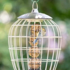 Aura Fat Ball Bird Feeder With Guardian 7 Aura Fat Ball Bird Feeder With Guardian -Nature Home Sales 35003