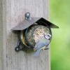 Wicklow Peanut Butter Feeder -Nature Home Sales 35025 1