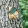 National Trust Dublin Peanut Butter Feeder -Nature Home Sales 350260121 peanut butter holder wood qm 1374