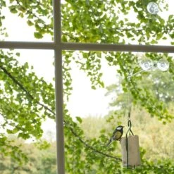 BirdSwing Window Peanut Cake Feeder -Nature Home Sales 350452