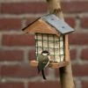 Ohio Slate Peanut Cake Square Bird Feeder 1 Ohio Slate Peanut Cake Square Bird Feeder -Nature Home Sales 35079 wand energieblockhalter ohio schieferdach