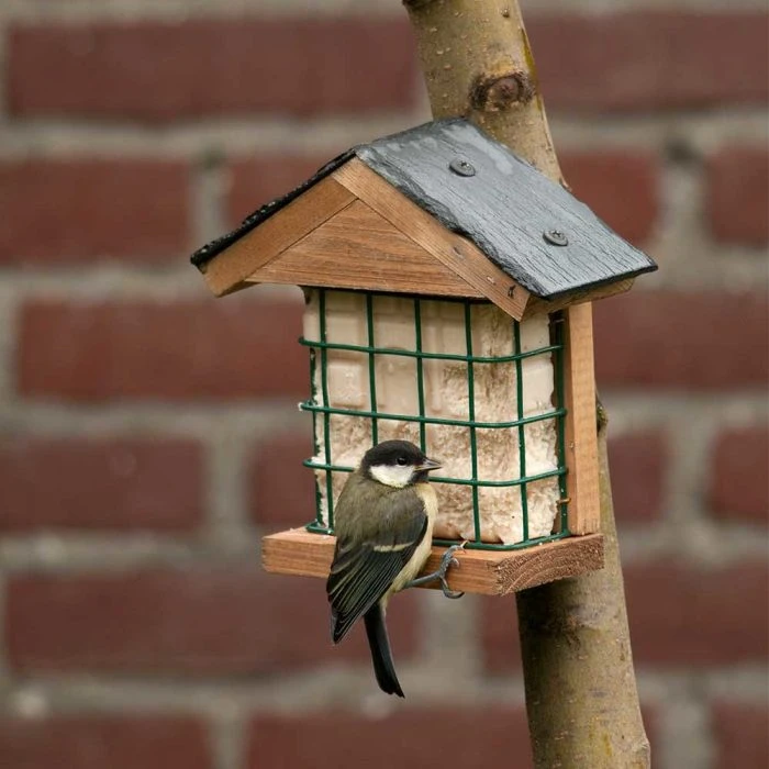 Ohio Slate Peanut Cake Square Bird Feeder 3 Ohio Slate Peanut Cake Square Bird Feeder