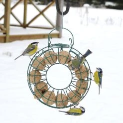 Fat Ball Feeding Ring 8 Fat Ball Feeding Ring -Nature Home Sales 35092 2 2 1