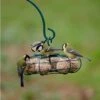 Star Fat Ball Bird Feeder 2 Star Fat Ball Bird Feeder -Nature Home Sales 35096 1 1