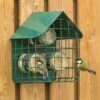 Longford Peanut Butter Bird Feeder With Guard -Nature Home Sales 35114 1 2
