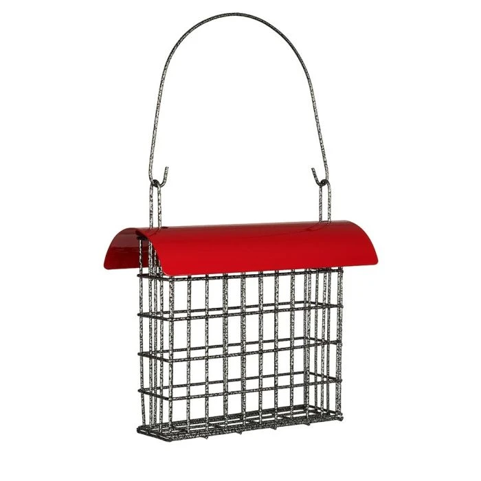 Sydney Peanut Cake Feeder 7 Sydney Peanut Cake Feeder - Image 5