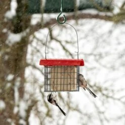 Sydney Peanut Cake Feeder 9 Sydney Peanut Cake Feeder -Nature Home Sales 351370120 5