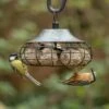 Fremantle Fat Ball Bird Feeder 2 Fremantle Fat Ball Bird Feeder -Nature Home Sales 35148 04