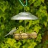 Bunbury Silver Fat Ball And Peanut Butter Bar Bird Feeder -Nature Home Sales 35156 5