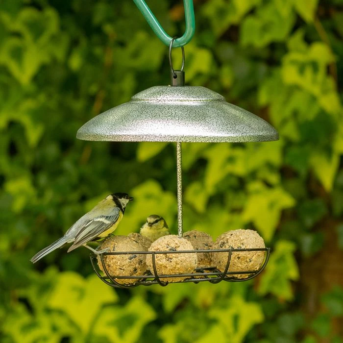 Bunbury Silver Fat Ball And Peanut Butter Bar Bird Feeder 3 Bunbury Silver Fat Ball And Peanut Butter Bar Bird Feeder