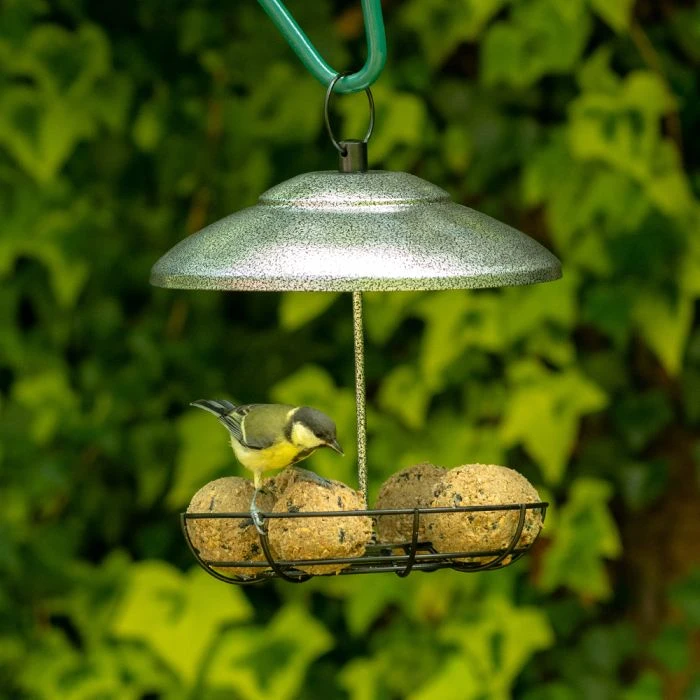 Bunbury Silver Fat Ball And Peanut Butter Bar Bird Feeder 5 Bunbury Silver Fat Ball And Peanut Butter Bar Bird Feeder - Image 3