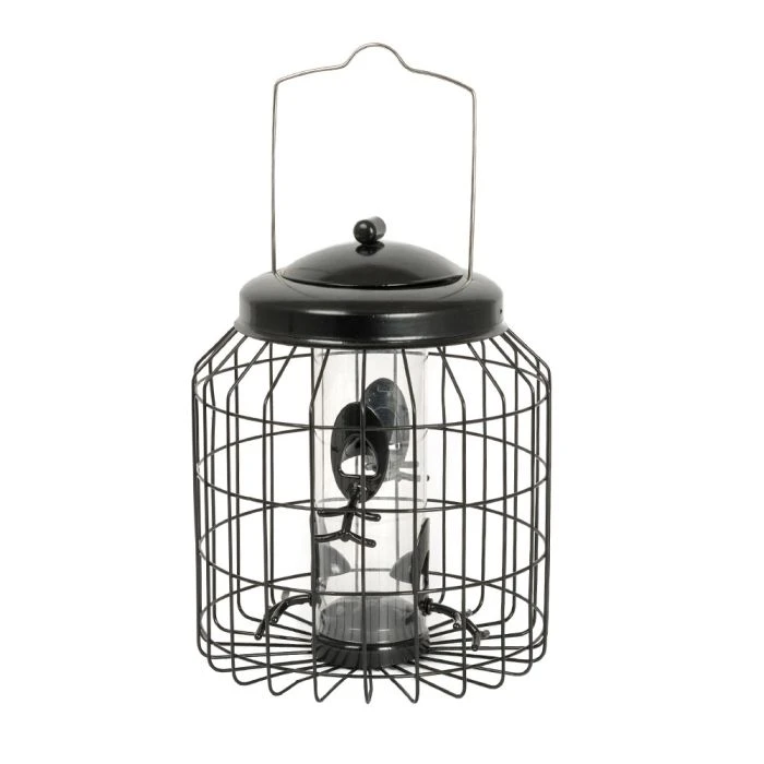 Brussels Seed Bird Feeder Guardian Pack 4 Brussels Seed Bird Feeder Guardian Pack - Image 2