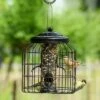 Brussels Seed Bird Feeder Guardian Pack -Nature Home Sales 351580119 04