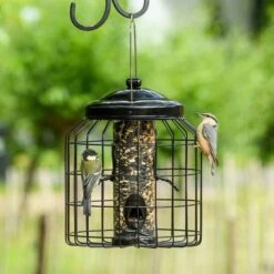 Brussels Bird Feeder Guardians - Bundle Of 3 11 Brussels Bird Feeder Guardians - Bundle Of 3 -Nature Home Sales 351580119 qpa dsc8692