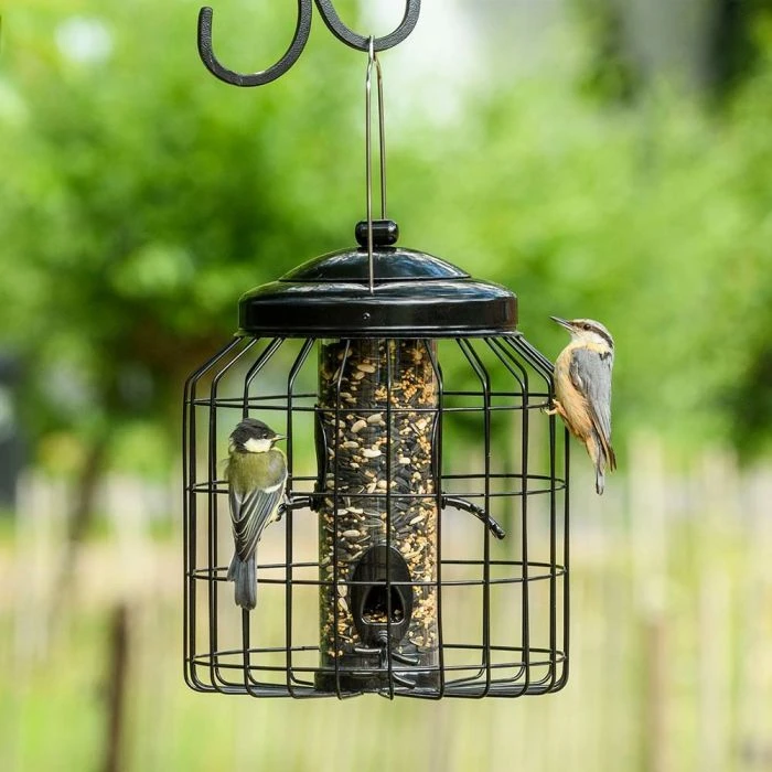 Brussels Bird Feeder Guardians - Bundle Of 3 5 Brussels Bird Feeder Guardians - Bundle Of 3 - Image 3