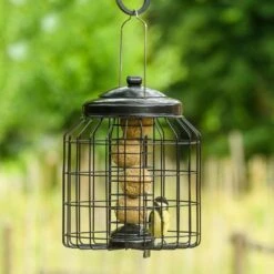 Brussels Bird Feeder Guardians - Bundle Of 3 12 Brussels Bird Feeder Guardians - Bundle Of 3 -Nature Home Sales 351590119 04 1