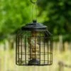 Brussels Fat Ball Bird Feeder Guardian Pack 1 Brussels Fat Ball Bird Feeder Guardian Pack -Nature Home Sales 351590119 05