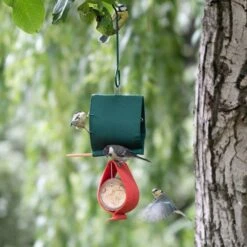 Malibu Peanut Butter Jar Holder Bird Feeder -Nature Home Sales 35175 35176 qm 1654 1