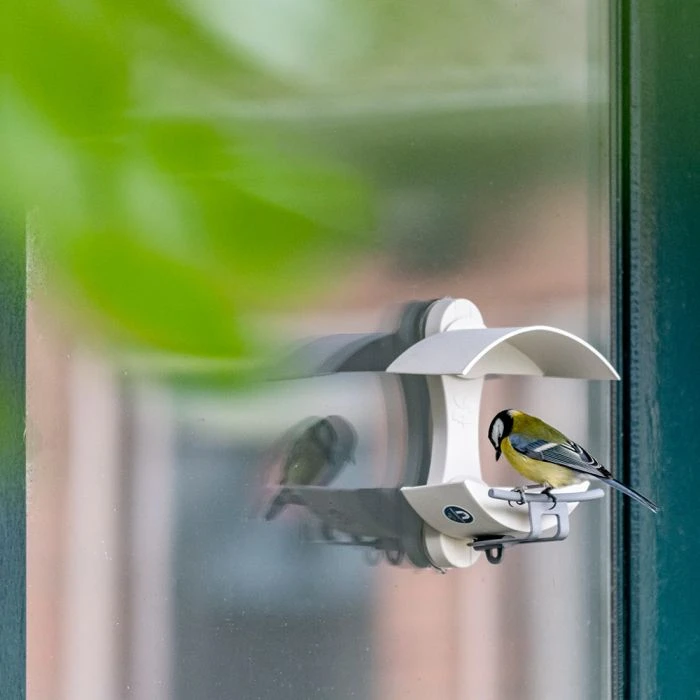 National Trust Acorn Window Feeder 4 National Trust Acorn Window Feeder - Image 2
