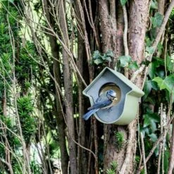 National Trust Evie Peanut Butter Feeder (100% Recycled) -Nature Home Sales 351810121 jvg 7396 1