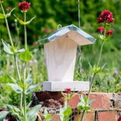 Espoo Peanut Cake Feeder -Nature Home Sales 351820119 jvg 7196 1