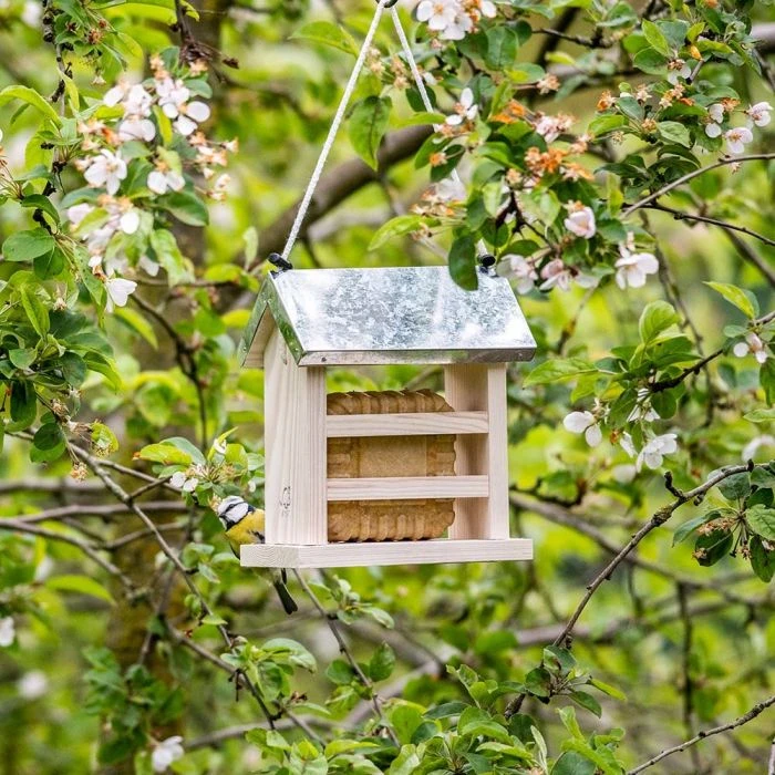 Turku Peanut Cake Feeder 3 Turku Peanut Cake Feeder