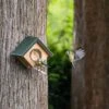 Cork Peanut Butter Wall Feeder -Nature Home Sales 351890119 cork peanut butter wall feeder sw low res 0600