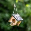 Cork Hanging Peanut Butter Feeder 1 Cork Hanging Peanut Butter Feeder -Nature Home Sales 351900119 cork hanging peanut butter feeder sw sem low res 0656