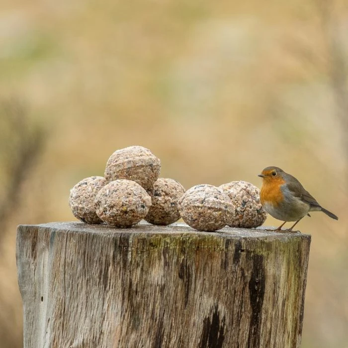 Organic Fat Balls - 6 Pack 3 Organic Fat Balls - 6 Pack