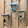 SingingFriend FeedR Bird Seed Feeder -Nature Home Sales 37003 37002 37004