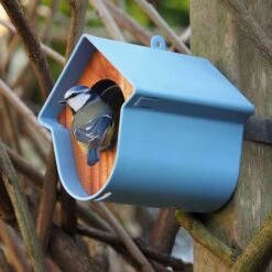 SingingFriend Evie Peanut Butter Bird Feeder -Nature Home Sales 37009 1