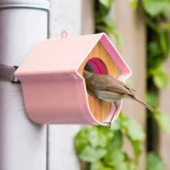 SingingFriend Evie Peanut Butter Bird Feeder -Nature Home Sales 37010 04 1