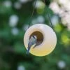 SingingFriend Bird Feeder Lisa (dusty Beige) -Nature Home Sales 370230180 qm 5600 1