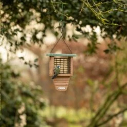 National Trust Peanut Cake Squares - Bundle Of 3 -Nature Home Sales 37030